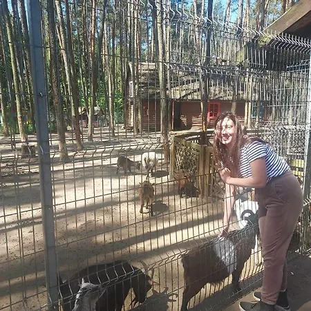 Lesny Dworek - Nad Jeziorem