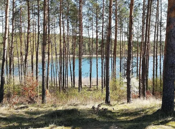 Lesny Dworek - Nad Jeziorem 农家乐 *