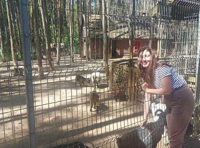 Lesny Dworek - Nad Jeziorem